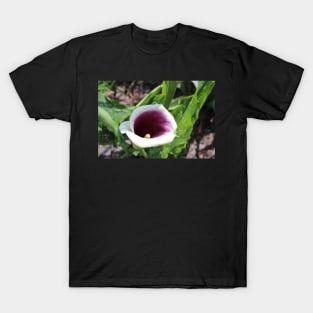 Calla Lily Tilted Photographic Image T-Shirt